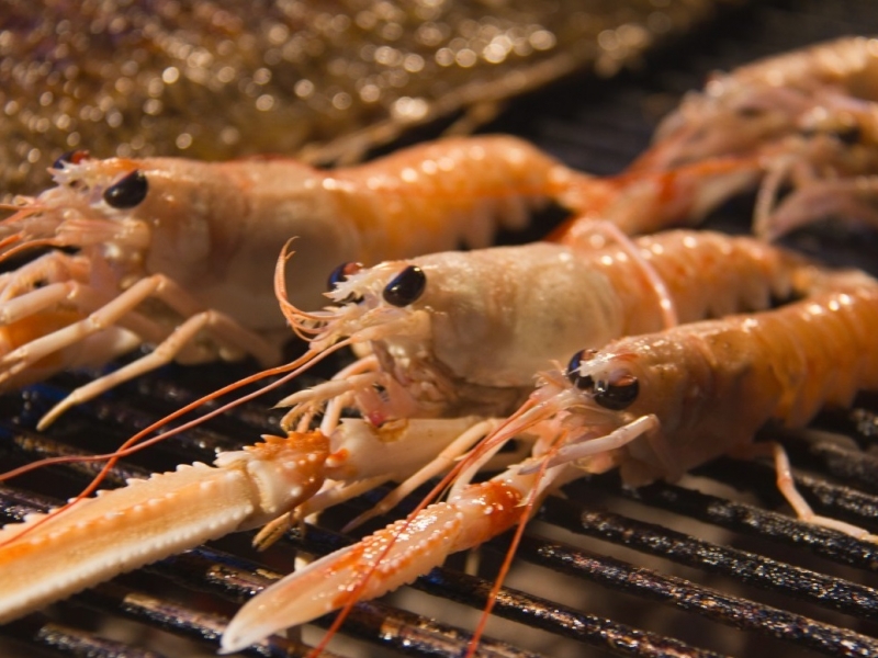 Najboljše gostilne na jadranskih otokih, 1. del